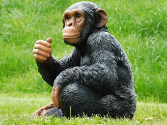 images/productimages/small/beeld.aap.poly.zumi-g8384.jpg