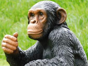images/productimages/small/beeld.aap.poly.zumi-g8385.jpg