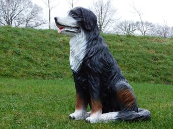 images/productimages/small/beeld.berner.sennen.zumi-g5643.jpg