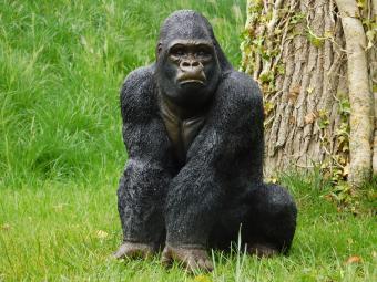 images/productimages/small/beeld.gorilla.poly.zumi-g5301.jpg