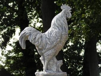 Garden Statue: Rooster XL – 65 cm – Stone