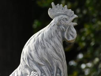 Garden Statue: Rooster XL – 65 cm – Stone