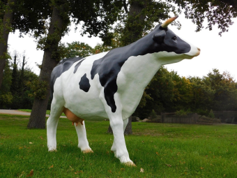 Beeld Koe XXL - 147 x 205 cm - Polystone