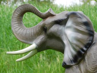 images/productimages/small/beeld.olifant.poly.zumi-g839856.jpg
