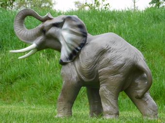 images/productimages/small/beeld.olifant.poly.zumi-g83988.jpg
