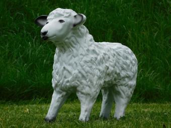 images/productimages/small/beeld.schaap.50cm.zumi-g4854.jpg