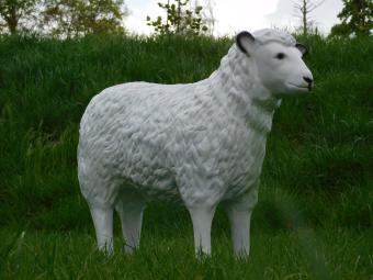images/productimages/small/beeld.schaap.poly.zumi-g6496.jpg