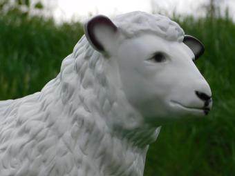 images/productimages/small/beeld.schaap.poly.zumi-g6497.jpg