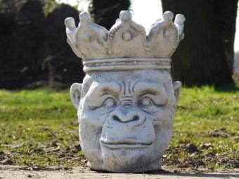 images/productimages/small/bloempot.gorilla.st.zumi11.jpg