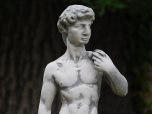 Beeld David - 57 cm - Vol Steen
