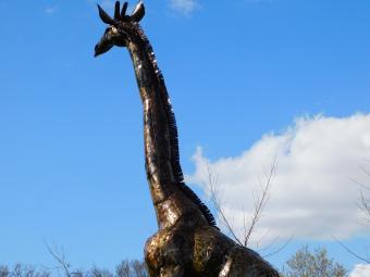 images/productimages/small/giraffe.afr.malaika2902.jpg