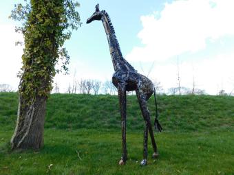 images/productimages/small/giraffe.afr.monza2901.jpg