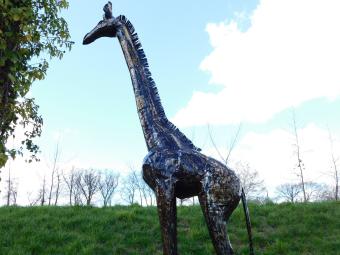 images/productimages/small/giraffe.afr.monza2904.jpg