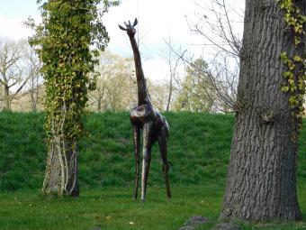 images/productimages/small/giraffe.afr.zola29011.jpg