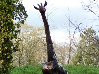 images/productimages/small/giraffe.afr.zola2902.jpg