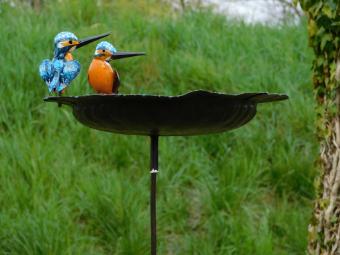 images/productimages/small/hg.voeder.2vogels.ne.zim22.jpg