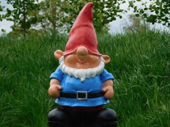 images/productimages/small/kabouter.blauw.zumi-g59511.jpg