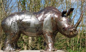 images/productimages/small/neushoorn.rino.afr.21011.jpg