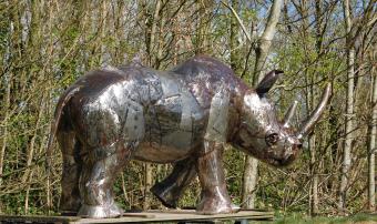 images/productimages/small/neushoorn.rino.afr.21022.jpg