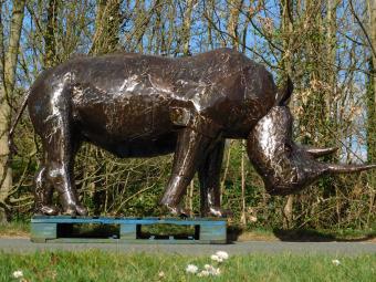 images/productimages/small/neushoorn.suma.afr.2101.jpg