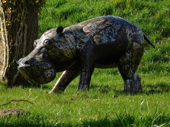 images/productimages/small/nijlpaard.kenyi.afri.mtl.150111.jpg