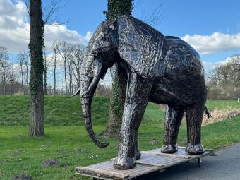 images/productimages/small/olifant.igor.xxl.afri2901111.jpg
