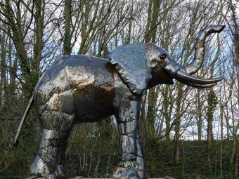 images/productimages/small/olifant.jumbo.xxl.afr.2901111.jpg