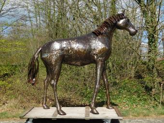 images/productimages/small/paard.pepper.afr.22511.jpg