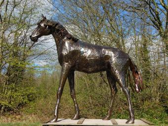 images/productimages/small/paard.pepper.afr.22588.jpg
