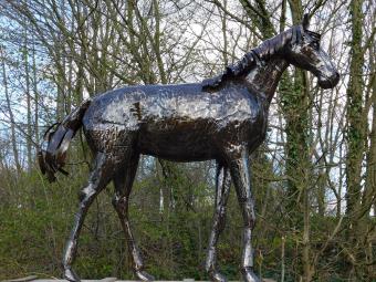 images/productimages/small/paard.power.afr.225111.jpg