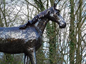 images/productimages/small/paard.power.afr.2252.jpg