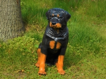 images/productimages/small/rottweiler-poly-70-7051-1-1-.jpg
