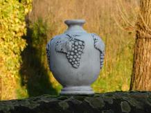 images/productimages/small/tuinv.druif.st.45411.jpg