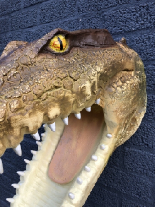 Lebensechter Krokodilkopf mit offenem Maul, sehr schönes Design!
