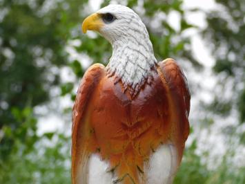 Decorative Eagle, Brown – 50 cm – Polystone