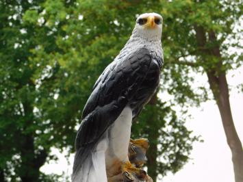 Decorative Eagle – 50 cm – Polystone