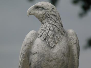 Gartenfigur Adler – 50 cm – Tierfigur aus Stein