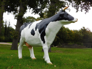 Beeld Koe XXL - 147 x 205 cm - Polystone