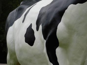 Beeld Koe XXL - 147 x 205 cm - Polystone