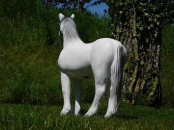 Beeld Paard - 75 x 70 cm - Wit - Polystone