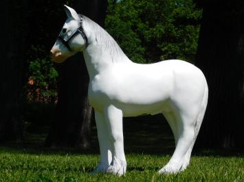 Beeld Paard - 75 x 70 cm - Wit - Polystone