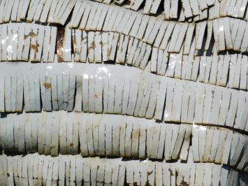 Beeld Schaap - 90 x 95 cm - Handgemaakt van Metaal