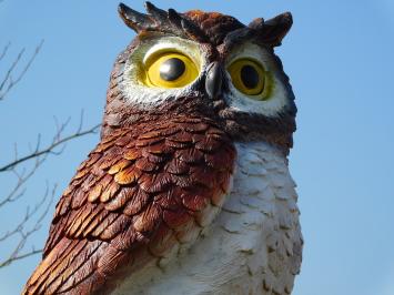 Braune Eule XL - 70 x 40 cm - Polystone