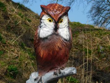 Uil op Stronk – 68 cm – Gedetailleerd Beeld – Polystone