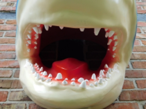 Large shark head with open mouth. Last one!