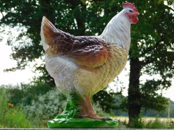 Decorative Rooster B – 53 x 42 cm – Polystone