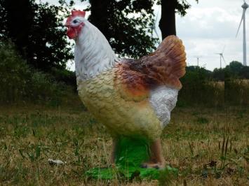 Decorative Rooster B – 53 x 42 cm – Polystone