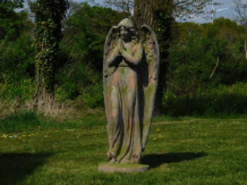 Last one: Statue Angel - polystone - 118cm