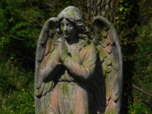 Last one: Statue Angel - polystone - 118cm