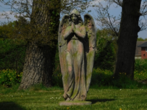 Last one: Statue Angel - polystone - 118cm